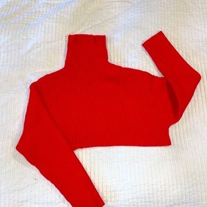 Cropped Turtleneck Sweater